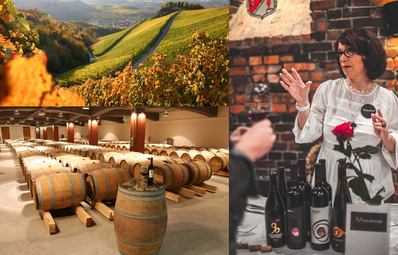 Bulgarian laatuviinit